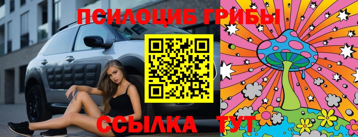 купить наркотики сайты  Псилоцибиновые грибы прущие грибы  Керчь  Вход с VPN  Галлюциногенные грибы Psilocybine cubensis 